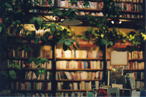 tumblr_lo18kw02YN1ql6arso1_500