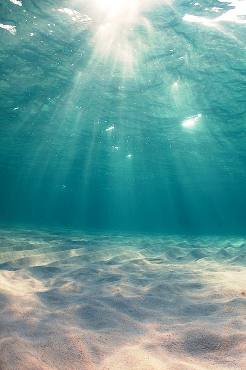 oceanunderwaterview