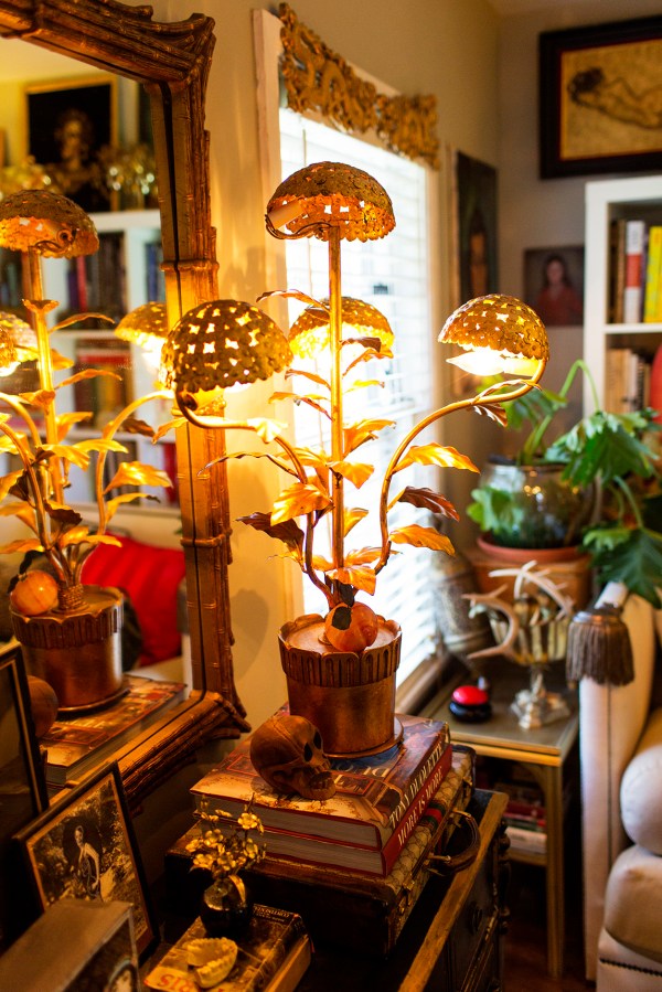 mushroomlamptheselby