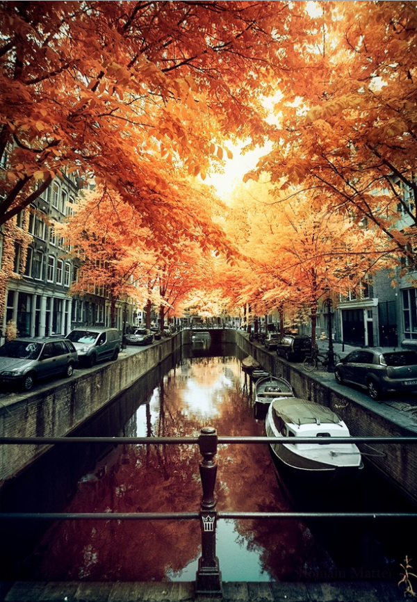 Amsterdam canals